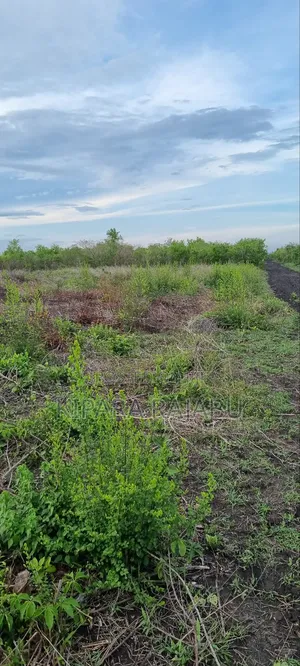 Shamba Linauzwa Kiwangwa