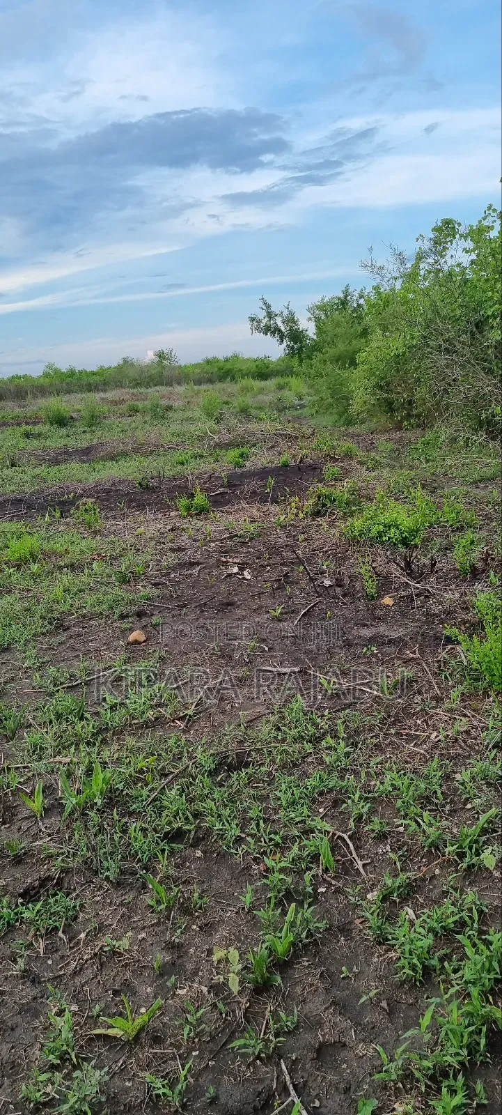 Shamba Linauzwa Kiwangwa