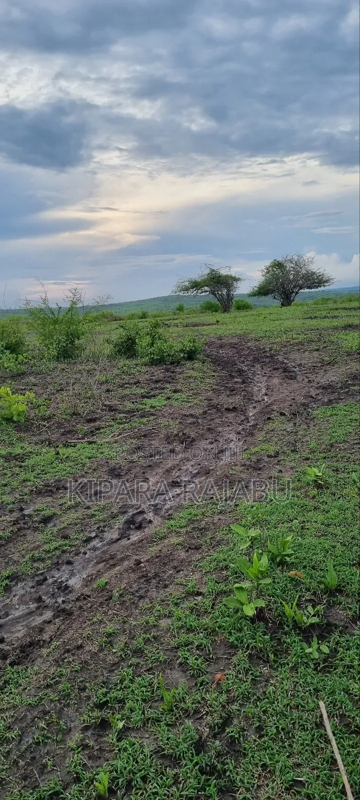 Shamba Linauzwa Kiwangwa