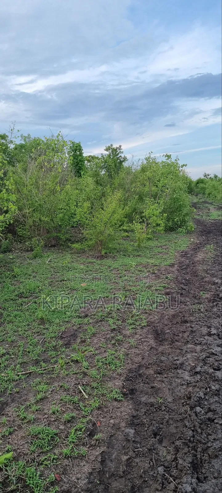 Shamba Linauzwa Kiwangwa