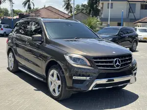 Mercedes-Benz M Class 2015 Brown