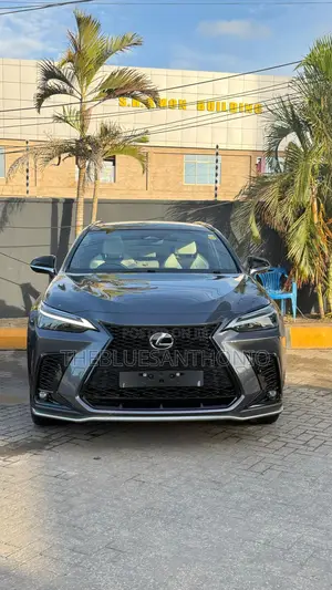 Lexus NX 2024 Gray