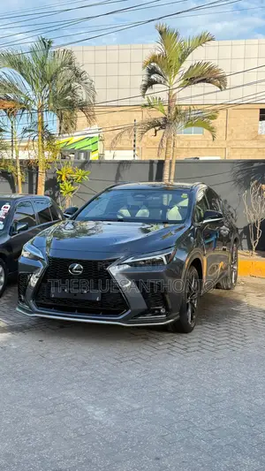 Lexus NX 2024 Gray
