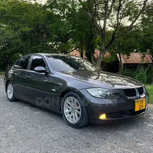 BMW 3 Series 2009 Gray