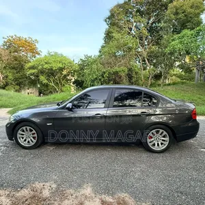 BMW 3 Series 2009 Gray