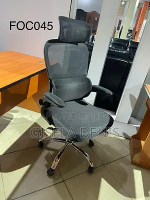 Ergonomic Chair