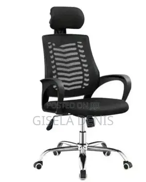 Ergonomic Chair