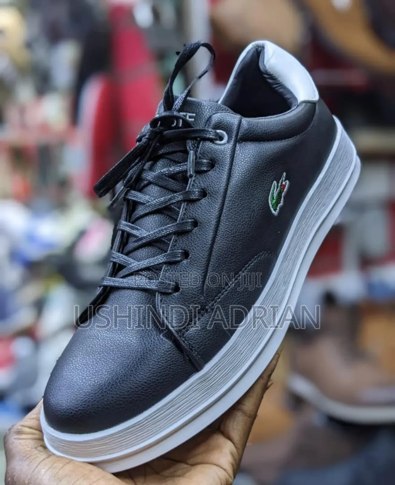 Viatu Vya Lacoste Original