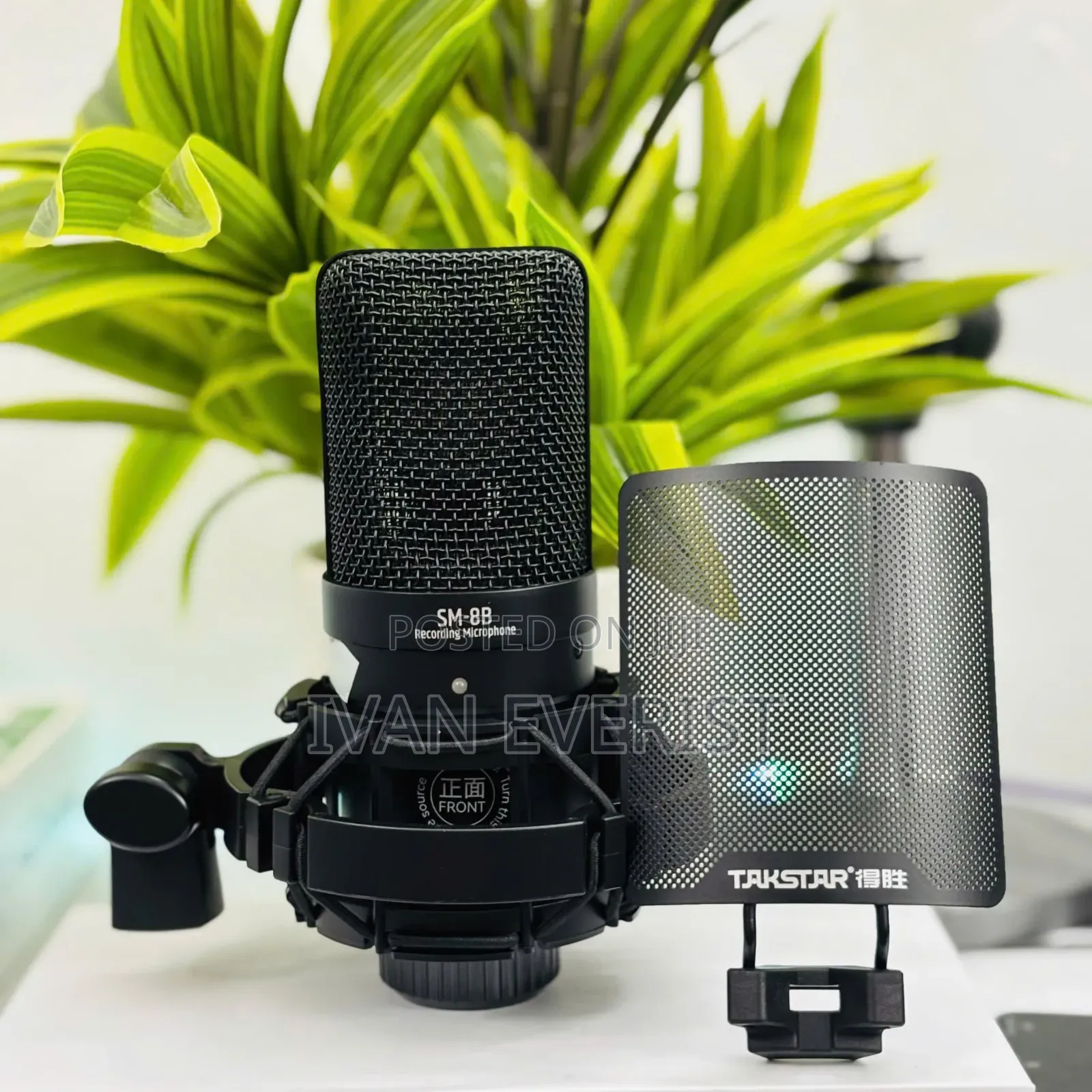 Trackstar Condenser Microphone