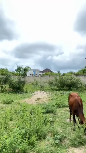 Residential Plot for Sale Mil at Mbweni, Dar Es Salaam
