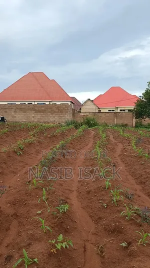 Plot for Sale Ilemela Busweru