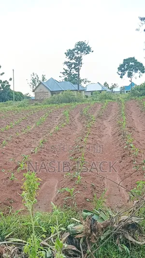 Plot for Sale Ilemela Busweru