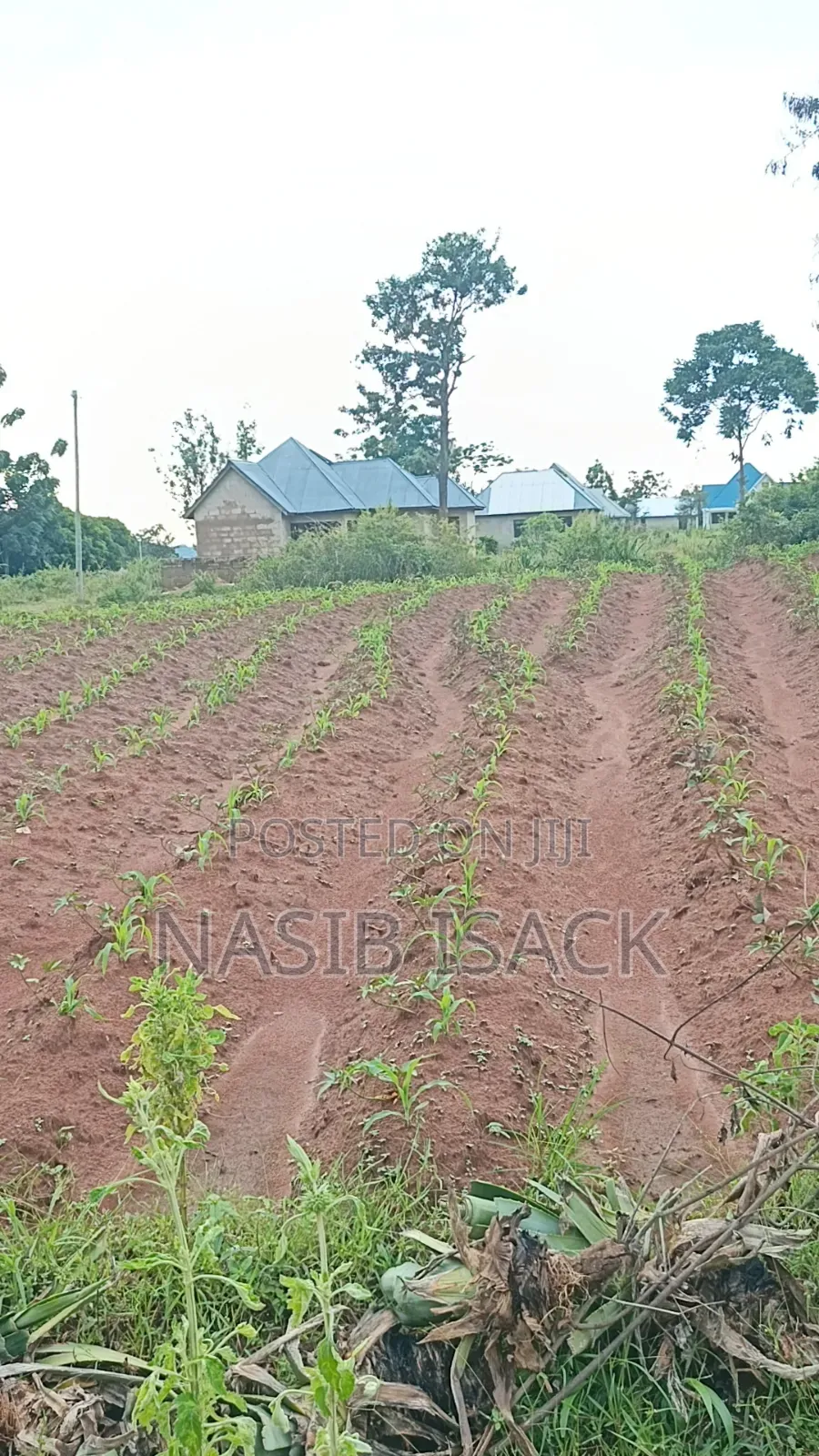 Plot for Sale Ilemela Busweru