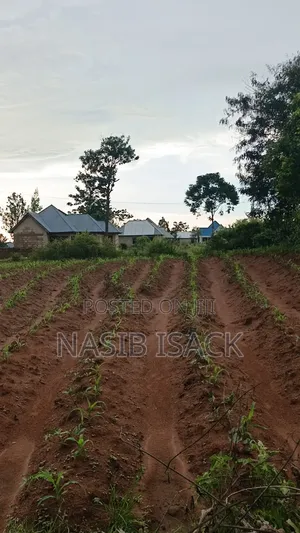 Plot for Sale Ilemela Busweru
