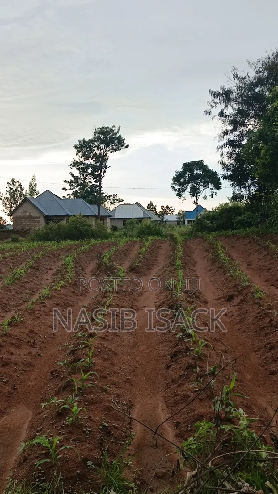 Plot for Sale Ilemela Busweru