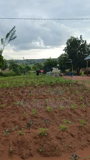 Plot for Sale Ilemela Busweru