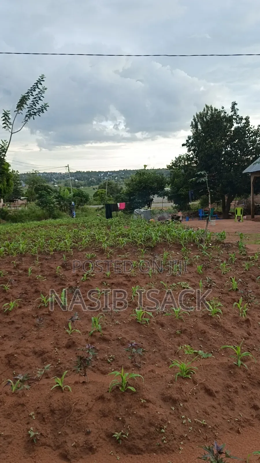 Plot for Sale Ilemela Busweru