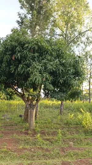 Plot for Sale 3000 Square Meters Busweru