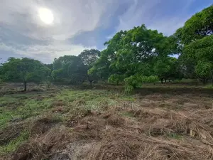 Plot for Sale Zegereni, Visiga, Kibaha