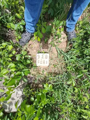 Plot for Sale Zegereni, Visiga, Kibaha