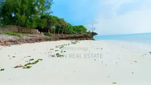 Beach Plot for Sale at Zanzibar