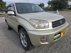 Toyota RAV4 2005 Silver