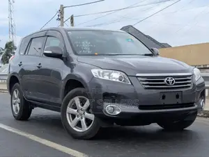 Toyota Vanguard 2009 Gray