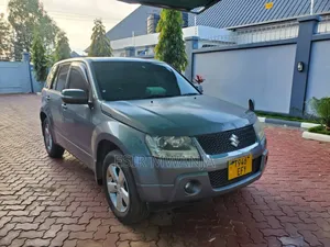 Suzuki Grand Vitara 2007 Gray