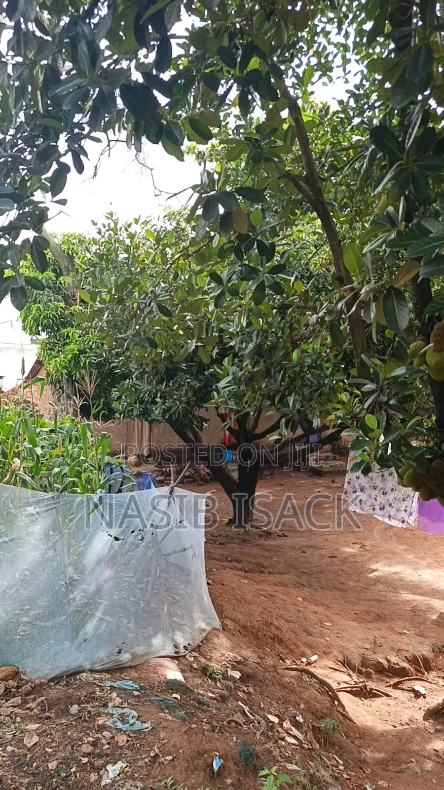 5bdrm House in Isamilo for sale