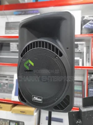 Powerful Soundsoft 15inch Active Pa Speaker Rechargeable WTH Amplifier