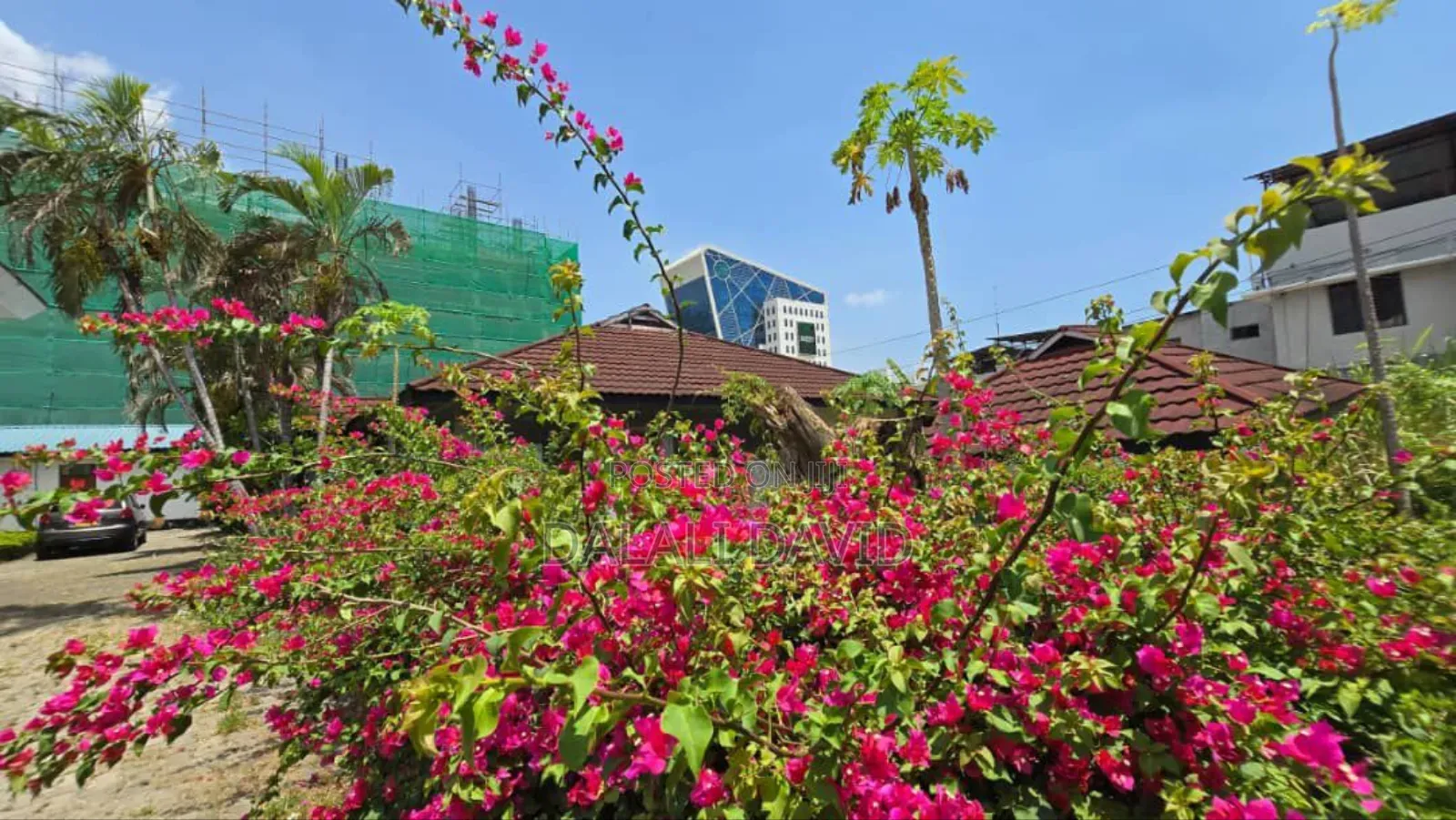 A Potential Plot for Sale at Upanga