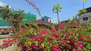 A Potential Plot for Sale at Upanga
