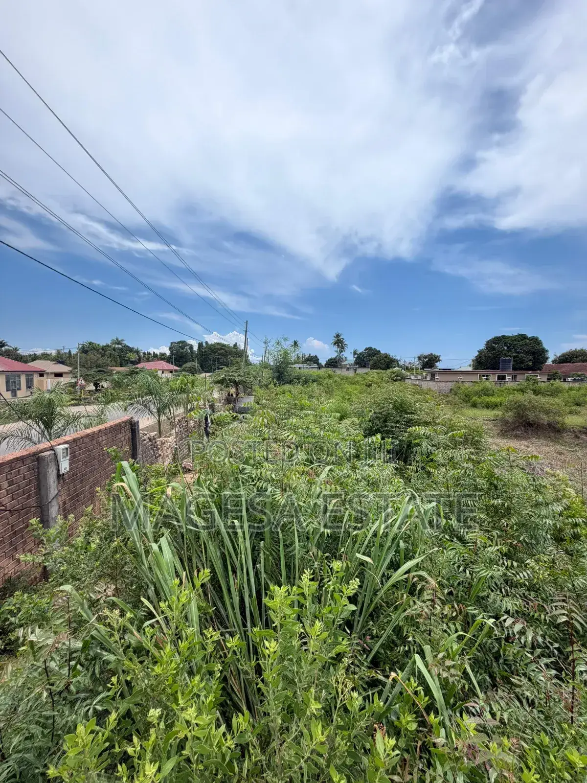 Land for Sell