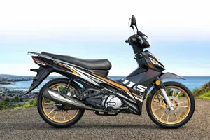 New Focin 2025