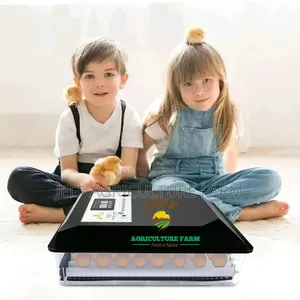 New Incubator Mayai 64 Ya 2026
