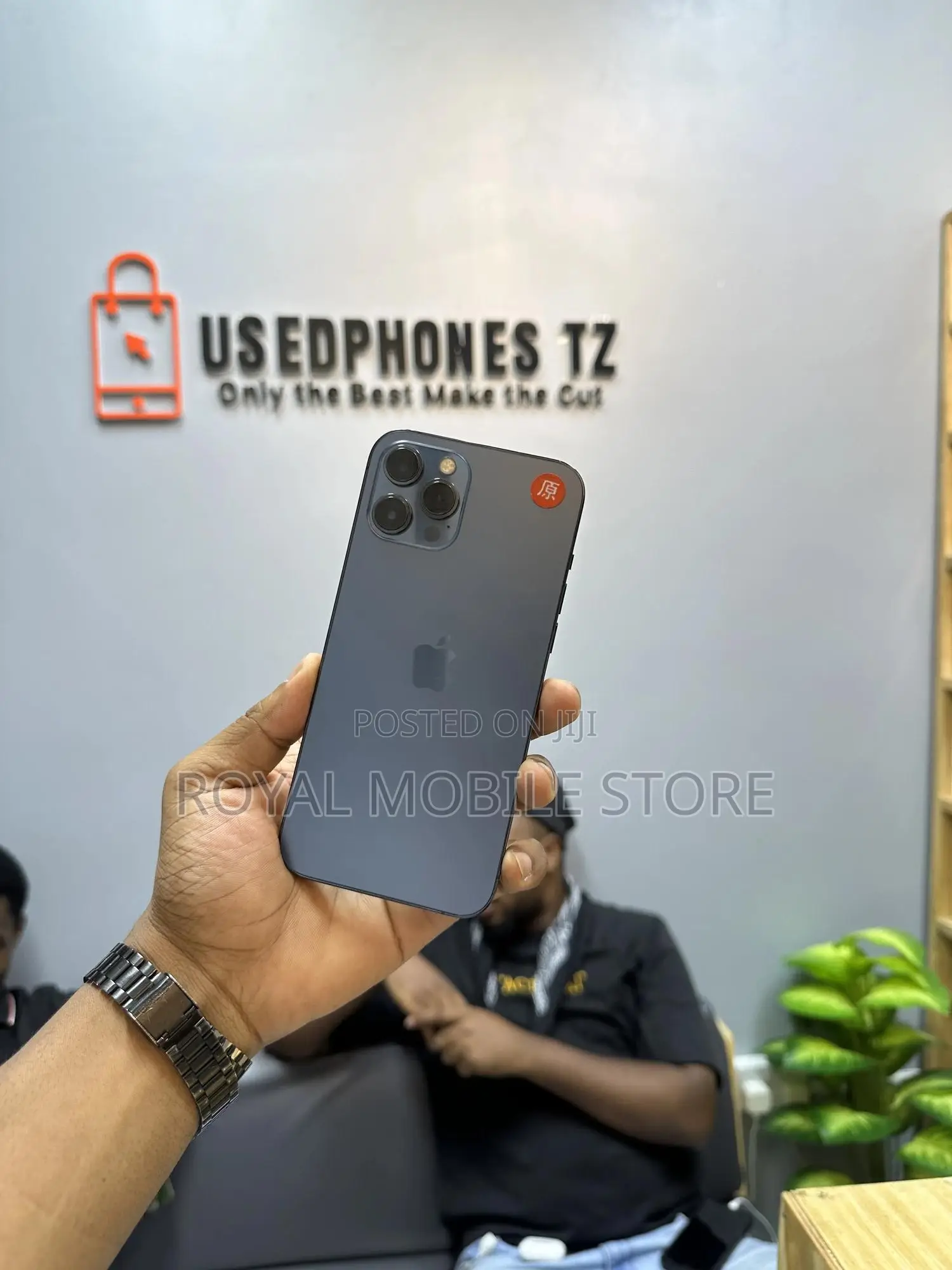 Apple iPhone 12 Pro Max 256 GB Blue