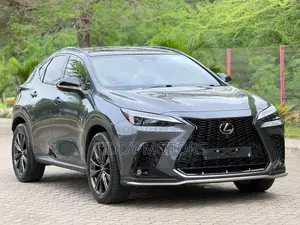 Lexus NX 2024 Gray