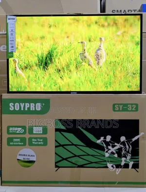 Soypro 32 Inches Double Frameless