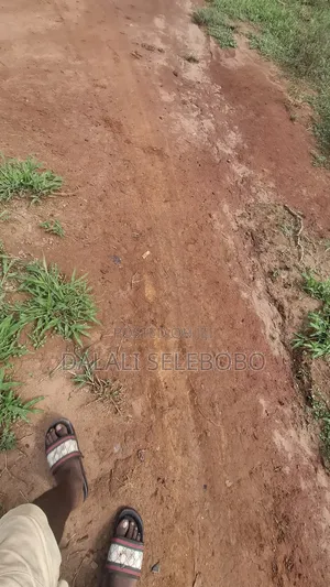 7hector at Goba Mbez Side Full Tittle Deed