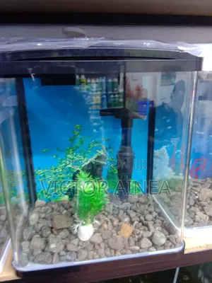 Aquariums and Petfish
