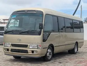 Toyota Coaster 2004 Gold