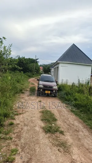 Plot for Sale Mwanza Busweru