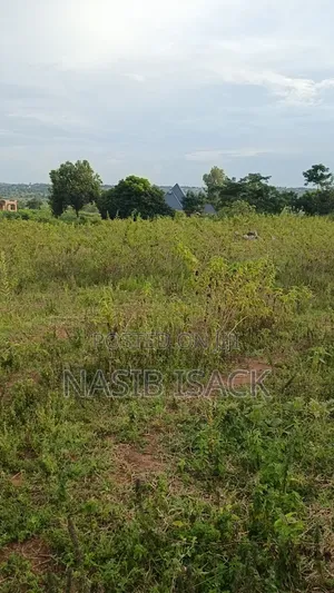 Plot for Sale Mwanza Ilemela Busweru
