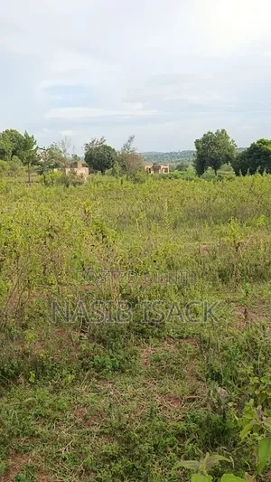 Plot for Sale Mwanza Ilemela Busweru