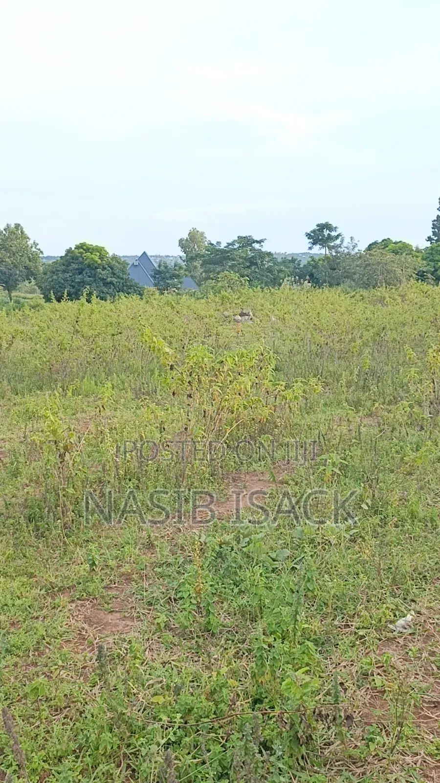 Plot for Sale Mwanza Ilemela Busweru