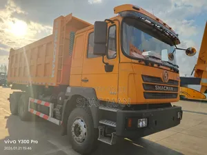 Shacman Dump Trucks
