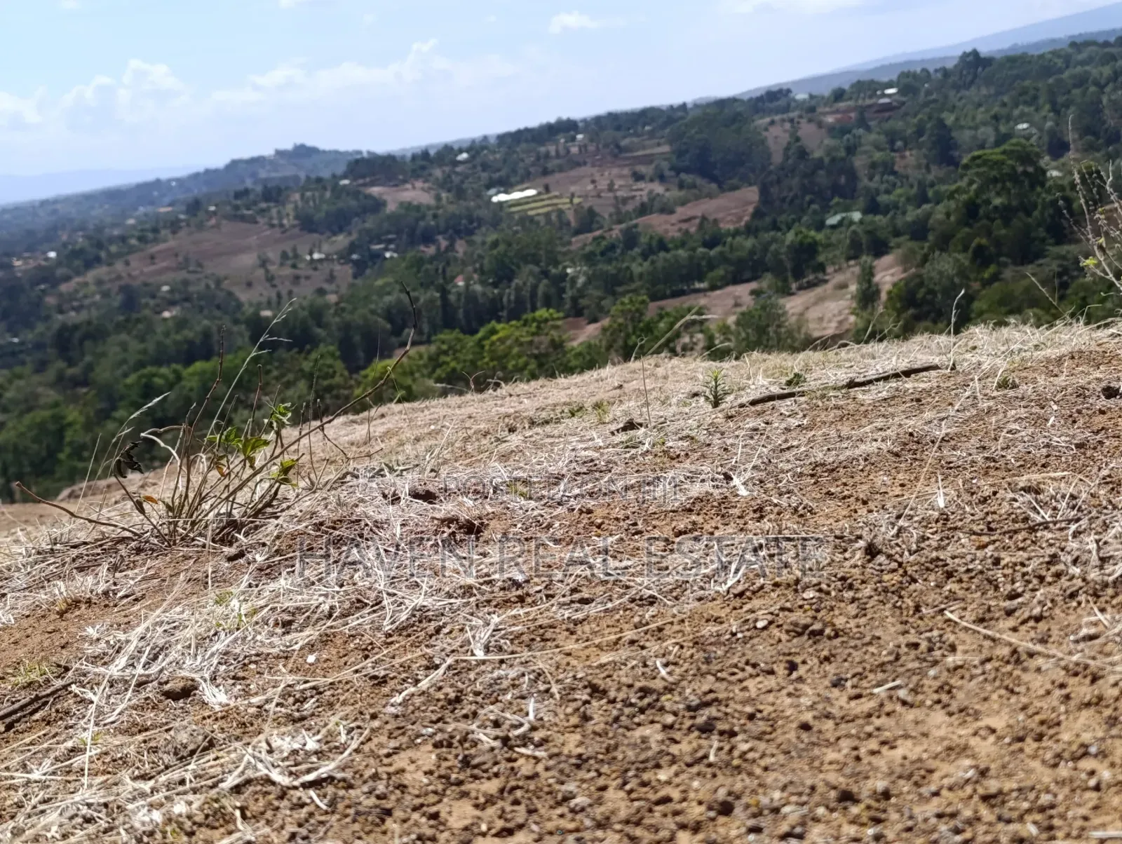 15 Acres Farm for Sale at Ngorongoro Highland