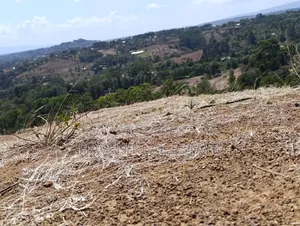 15 Acres Farm for Sale at Ngorongoro Highland