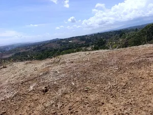 15 Acres Farm for Sale at Ngorongoro Highland