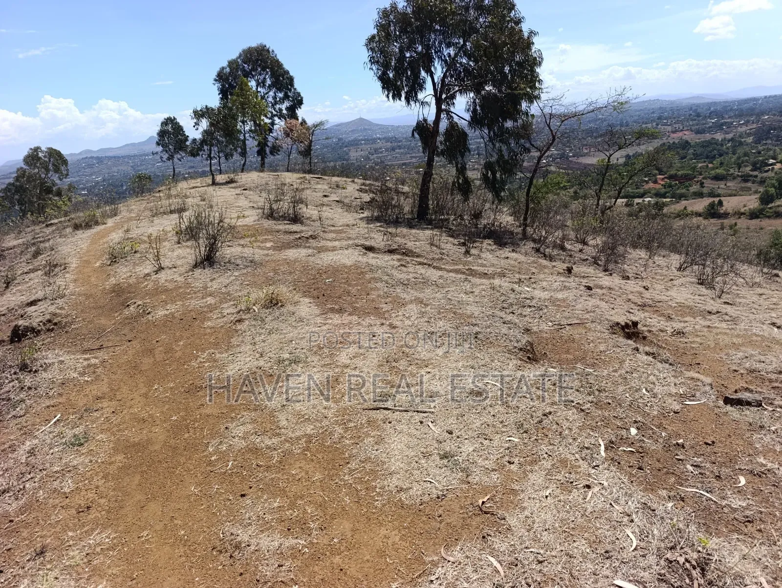 15 Acres Farm for Sale at Ngorongoro Highland